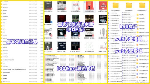 紅隊攻防網絡安全自學路線 從計算機軟硬件基礎入門到專業實戰